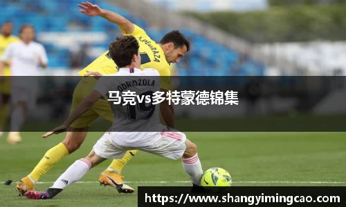 马竞vs多特蒙德锦集